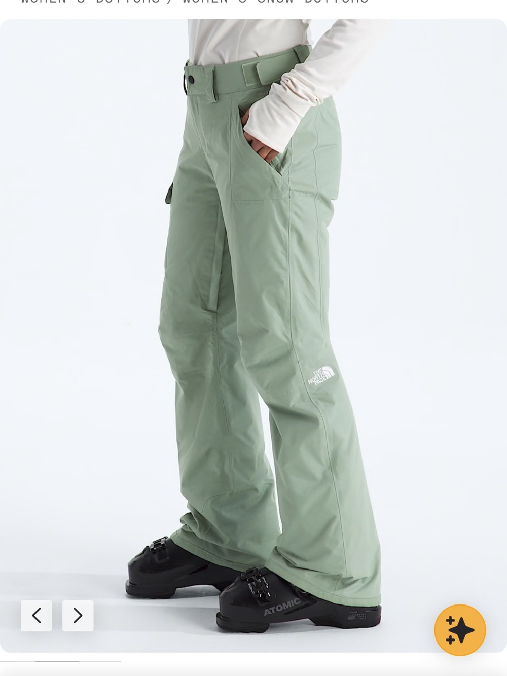 Women’s North Face Freedom Insulated Pants